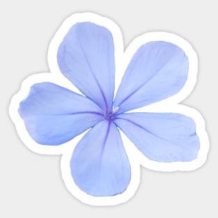 Blue Flower Photo Sticker